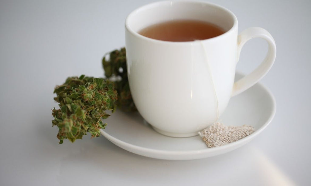 https://www.botanyfarms.com/cdn/shop/articles/How-to-Make-CBD-Tea.jpg?v=1681926055&width=1024